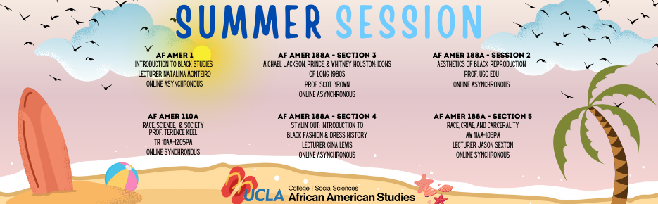summer session - african american studies